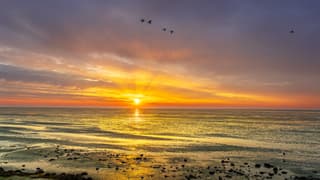 Ochtendrood de vogels worden wakker