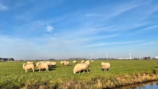 Wollen jas nog wel nodig!