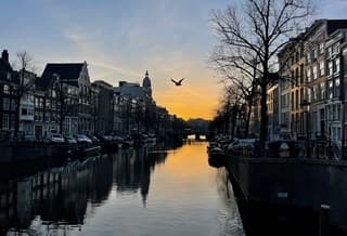 Vogelvrij met zonsopkomst vanmorgen