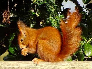 Gelukkig is er nog wintervoorraad ?️ 