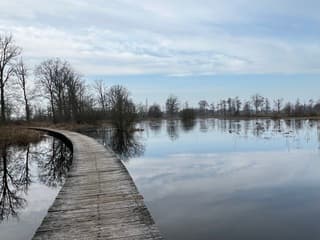 Steeds meer blauwe lucht 