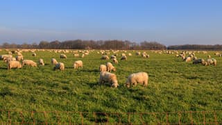 Genieten van zon