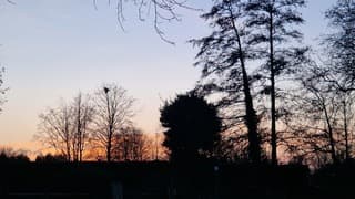 Zonsondergang in Sassenheim 