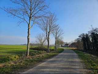 Lente