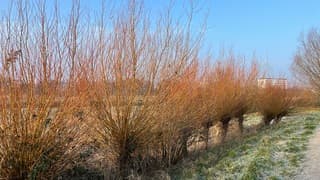 Zonnige zondag in de natuur