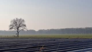 Heiig boven de bedekte aspergevelden