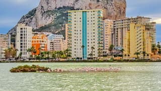 Wolkenvelden met geregeld wat zon 16/17 gr