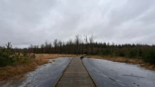 Grijs, bewolkt, koud en zo nu en dan lichte sneeuwvlokjes