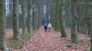 paar dames op leeftijd maken boswandeling