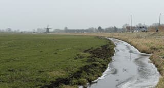 Koude grijze dag in Haarlem