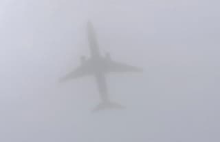 Grijs, je hoort hem wel maar je ziet hem nauwelijks 