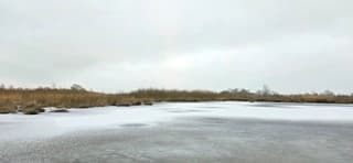 Grijs bewolkt winterweer in de provincie Groningen 