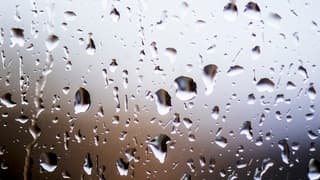 KOUDE WIND UIT HET OOSTEN