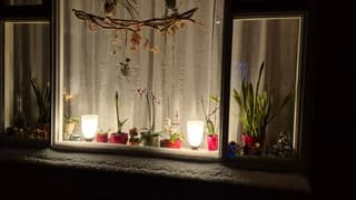 Sneeuw tegen het raam