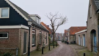 Grijze ochtend, sneeuw gesmolten!