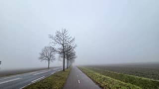 Nog steeds mistig om.10.30 uur
