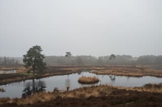 Mist bij de Overasselt vennen
