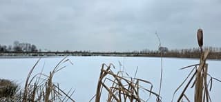 Grijs bewolkt winterweer in de provincie Groningen 