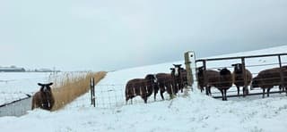 Winterwonderland in de provincie Groningen vanmiddag 