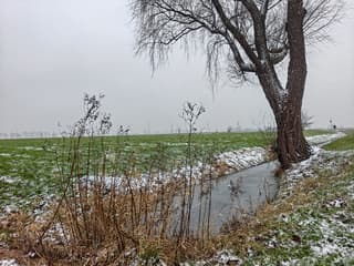 Lichte sneeuwval 