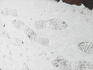 Voetsporen in de sneeuw 