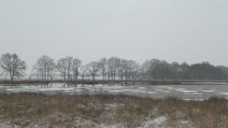 De hele dag licht sneeuwend