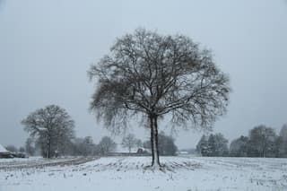 Mooi landschap