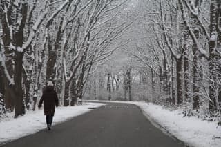 Fris maar goed wandelweer