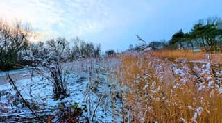 We kregen een mooie winters knipoog in de morgen van de zon.