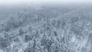 Sneeuw in Austerlitz 2 