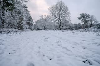 Sneeuw