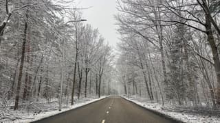 Sneeuw in Austerlitz 3