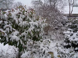 Exloo weer een laag sneeuw erbij