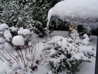 Exloo ijspegel aan waterdrinkbak