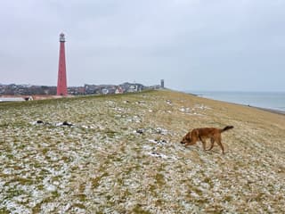 Amper sneeuw nog......alleen nog wat bij de molshopen op de dijk..