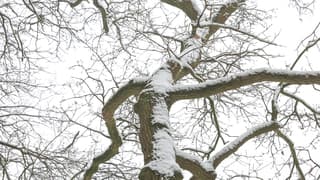 Winter wonderland in de lucht