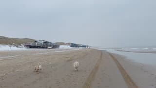 Klein beetje wit op het strand 