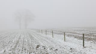 Mist en een dun laagje sneeuw op landbouwgrond (dooimist) 