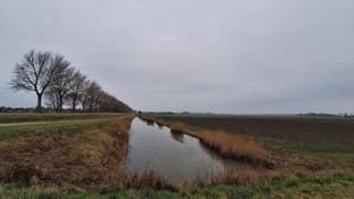 Een grijze dag; hier geen sneeuw in Zeeland