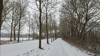Wandelen in de sneeuw - Norg