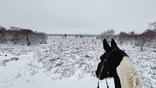 uitkijk op Ederheide