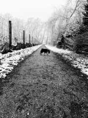 Winters weer in Boekel