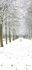 Sneeuwwitte park