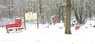 Sneeuwwitte sprookjesbos 