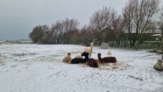 Terugblik op gisteren