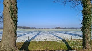 Schaduw bomen in sneeuw met kerkje in de verte