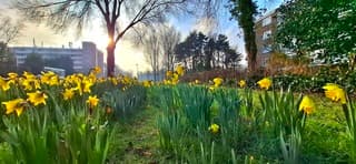 Lijkt wel voorjaar in Beverwijk vanmiddag 