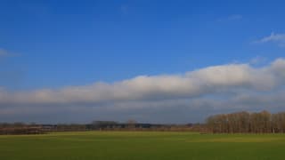 Plankwolk ?
