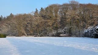 Sneeuwlandschap Eelde 