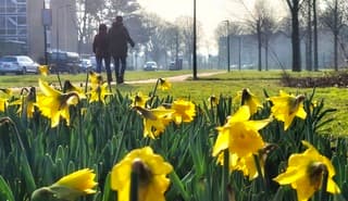 Even zonnig in Beverwijk vanmiddag 